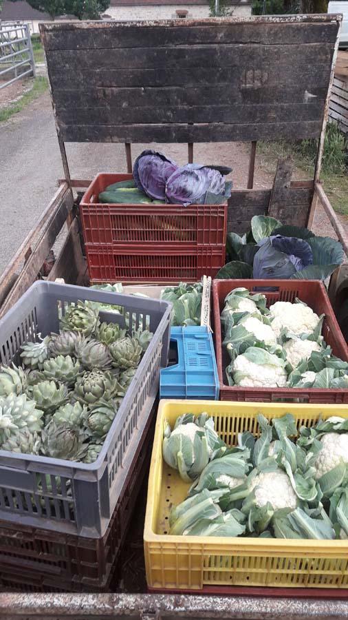 Produits locaux Meyssac